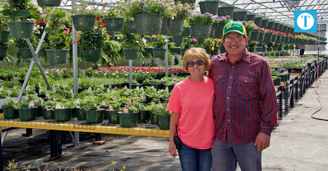 Flowers for Doodlebugs grows into greenhouse business The Owensboro Times