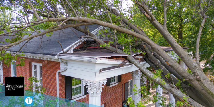 Tree falls on Medley house