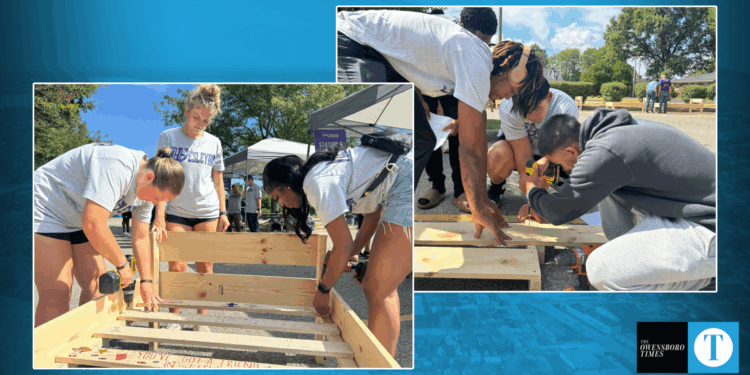 build a bed