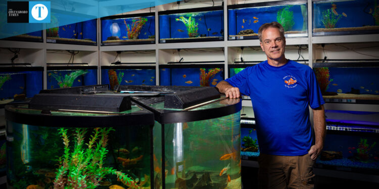 My Fish Doctor
