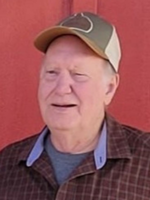 William Gary Austin