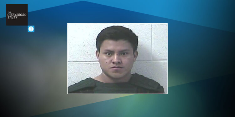 Anderson Stewart Xol-Ho