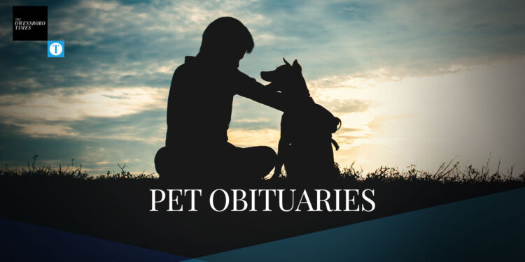 pet obituaries