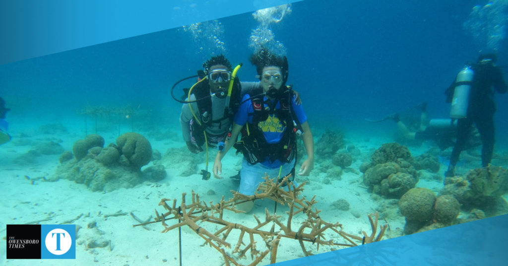 Western Academy students dive into new opportunities through scuba program