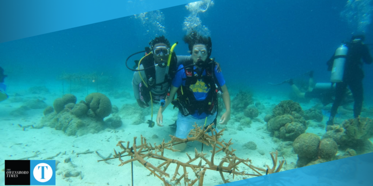 scuba
