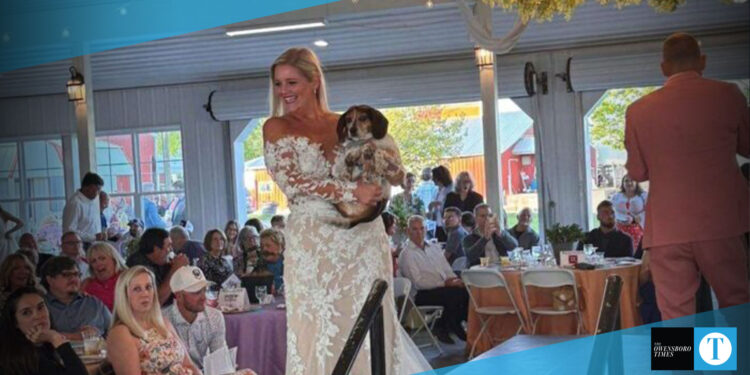 bark in style