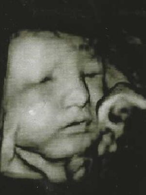 Kingston Harold Staples