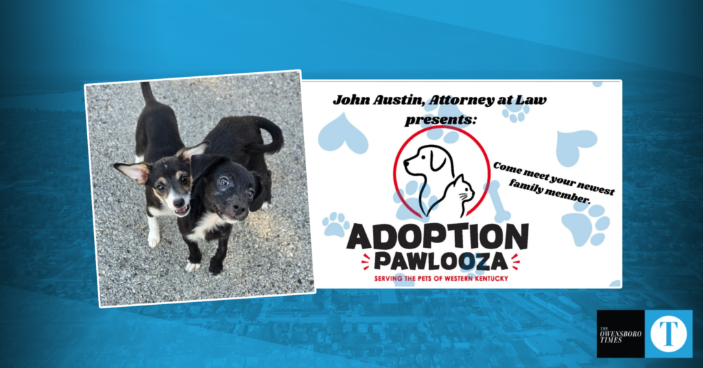 Adoption Pawlooza to bring nearly 100 adoptable pets to Sportscenter