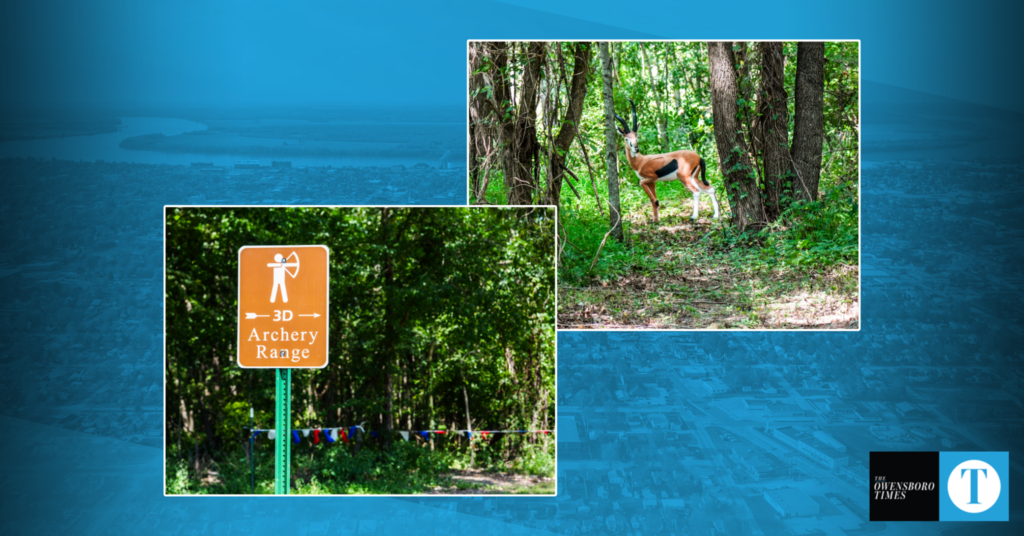 Archery course featuring 3D animal targets now open at Mattingly Target Shooting Range