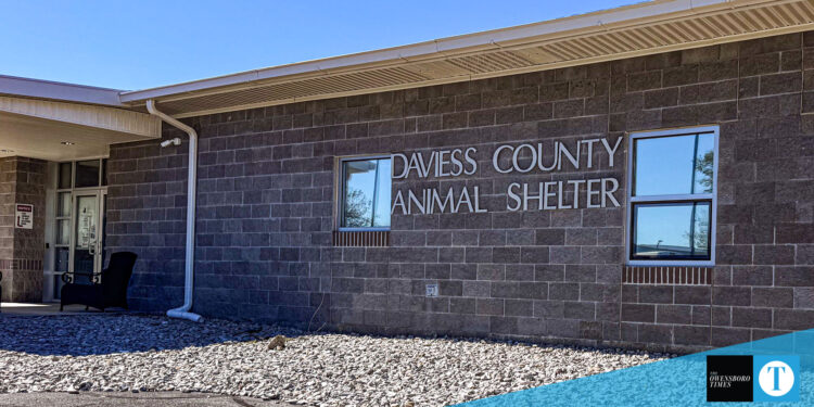 animal shelter